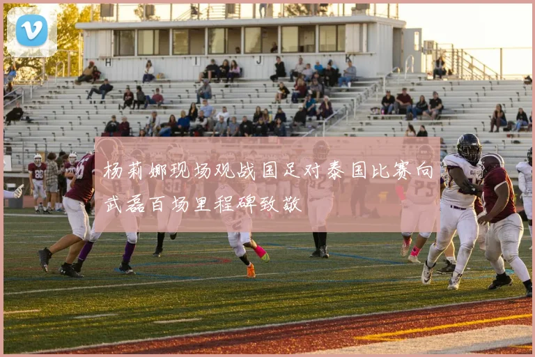 杨莉娜现场观战国足对泰国比赛向武磊百场里程碑致敬